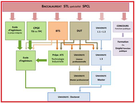 que faire après un bac stl|Les BTS, DEUST et BUT après le bac STL .